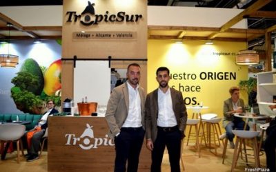 Hemos terminado la campaña de mango nacional 2023 alcanzando a comercializar el 10% del volumen total